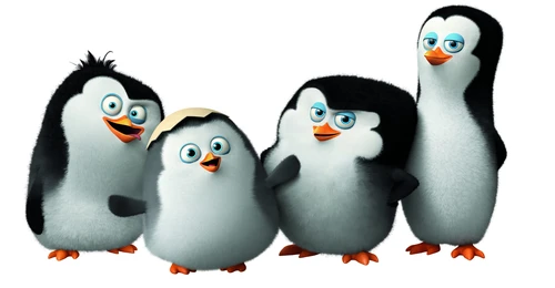 пингвины, детские, белые, черные, серые
